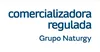 Logo de Naturgy Gas & Power